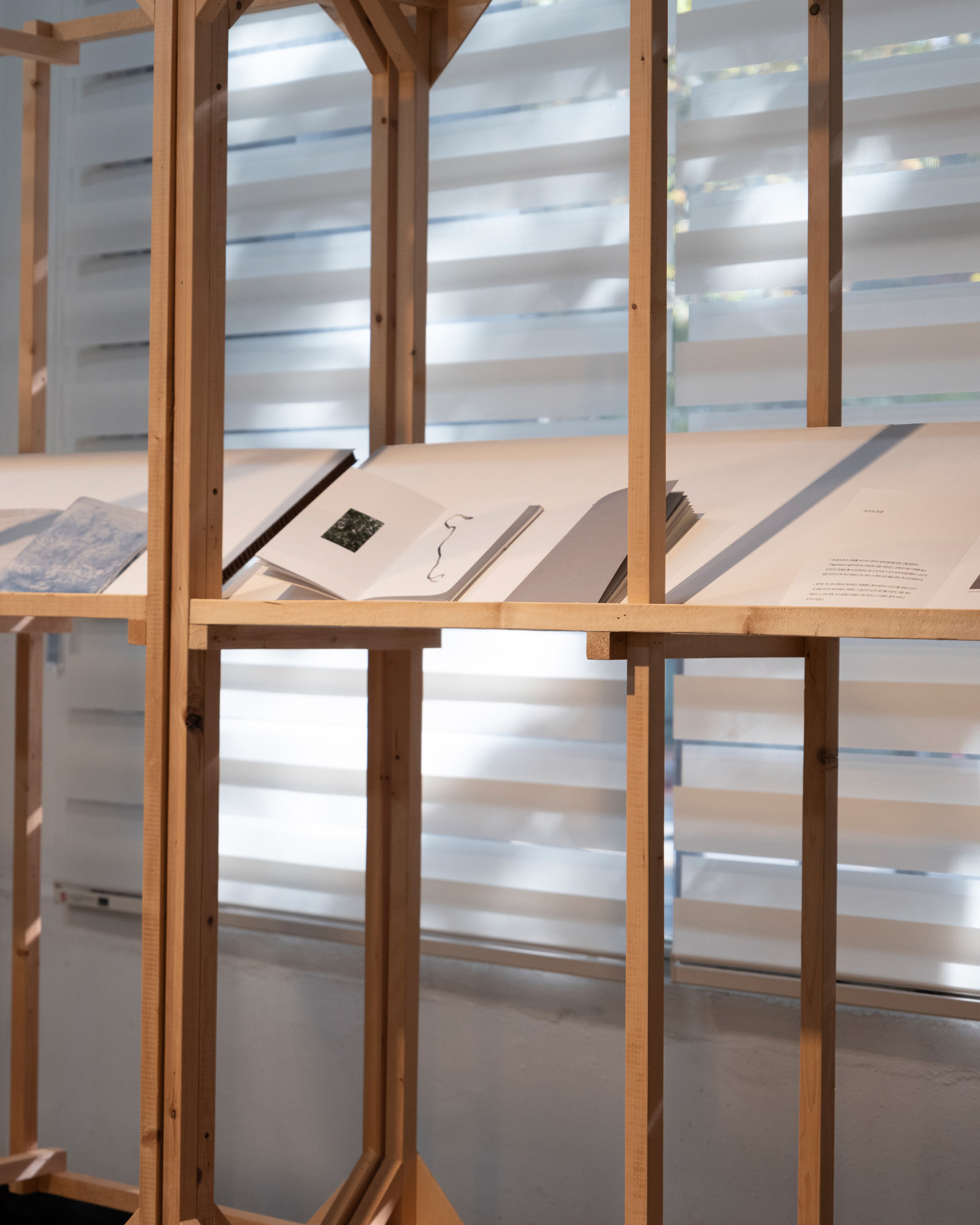 《A Page of Roots》