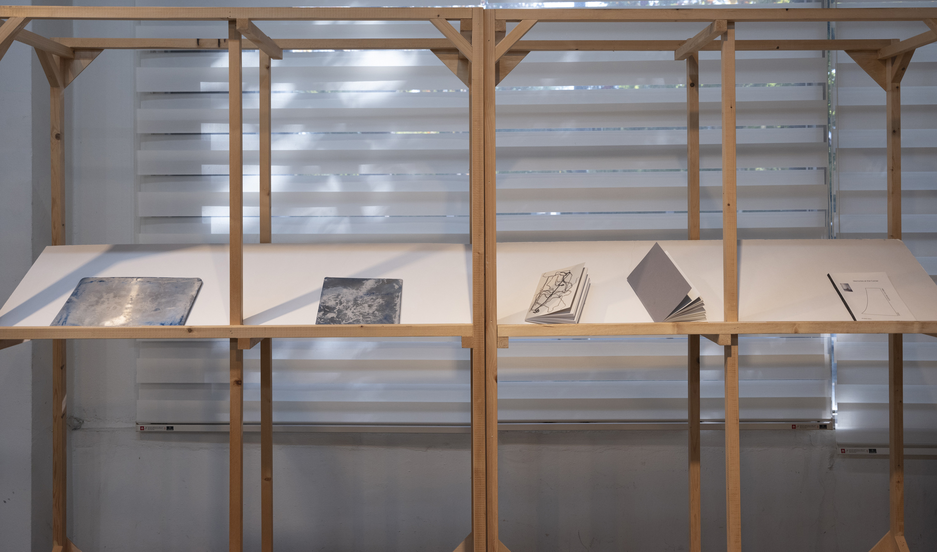 《A Page of Roots》