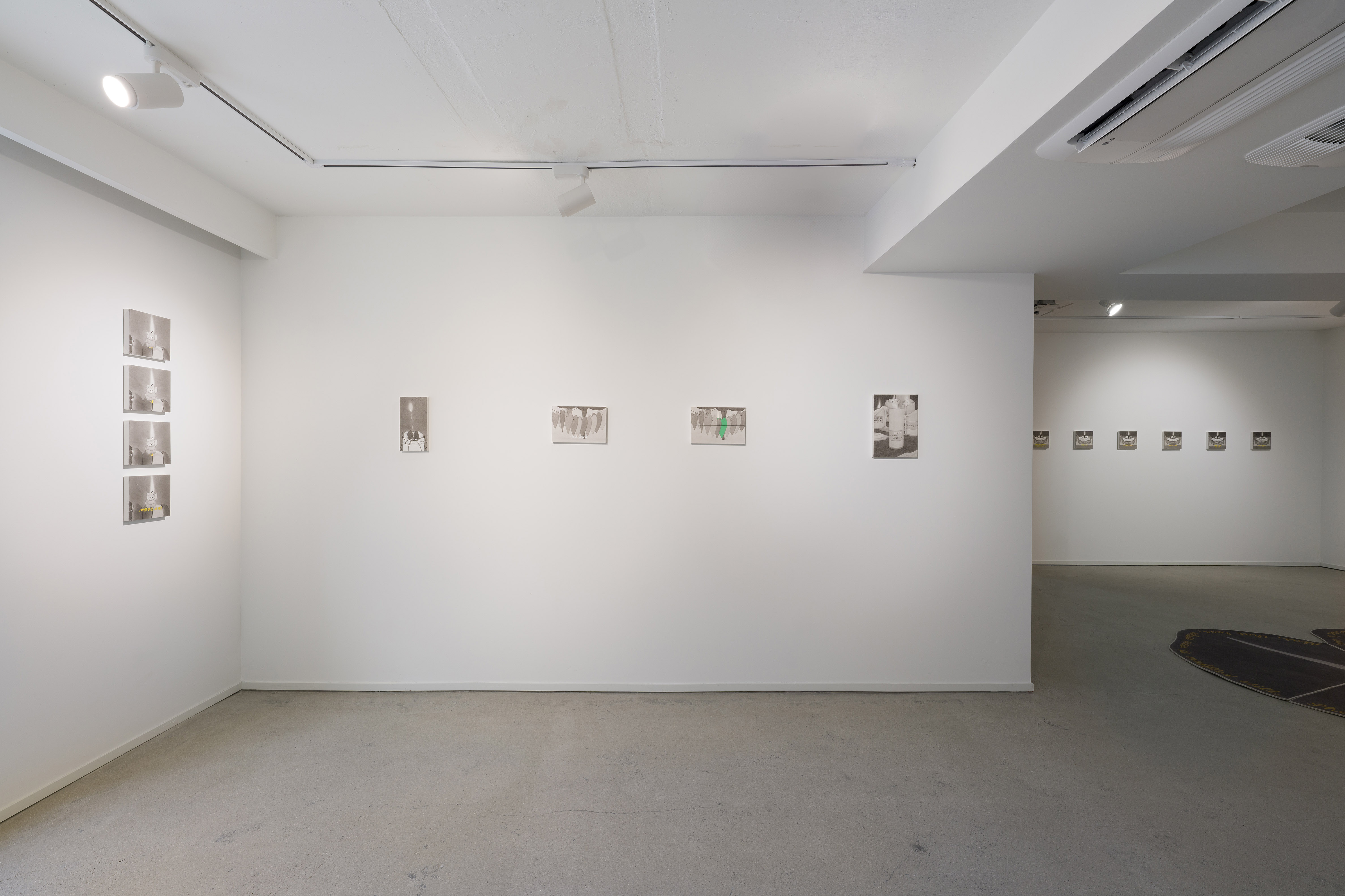 《나의 진실한 환상》