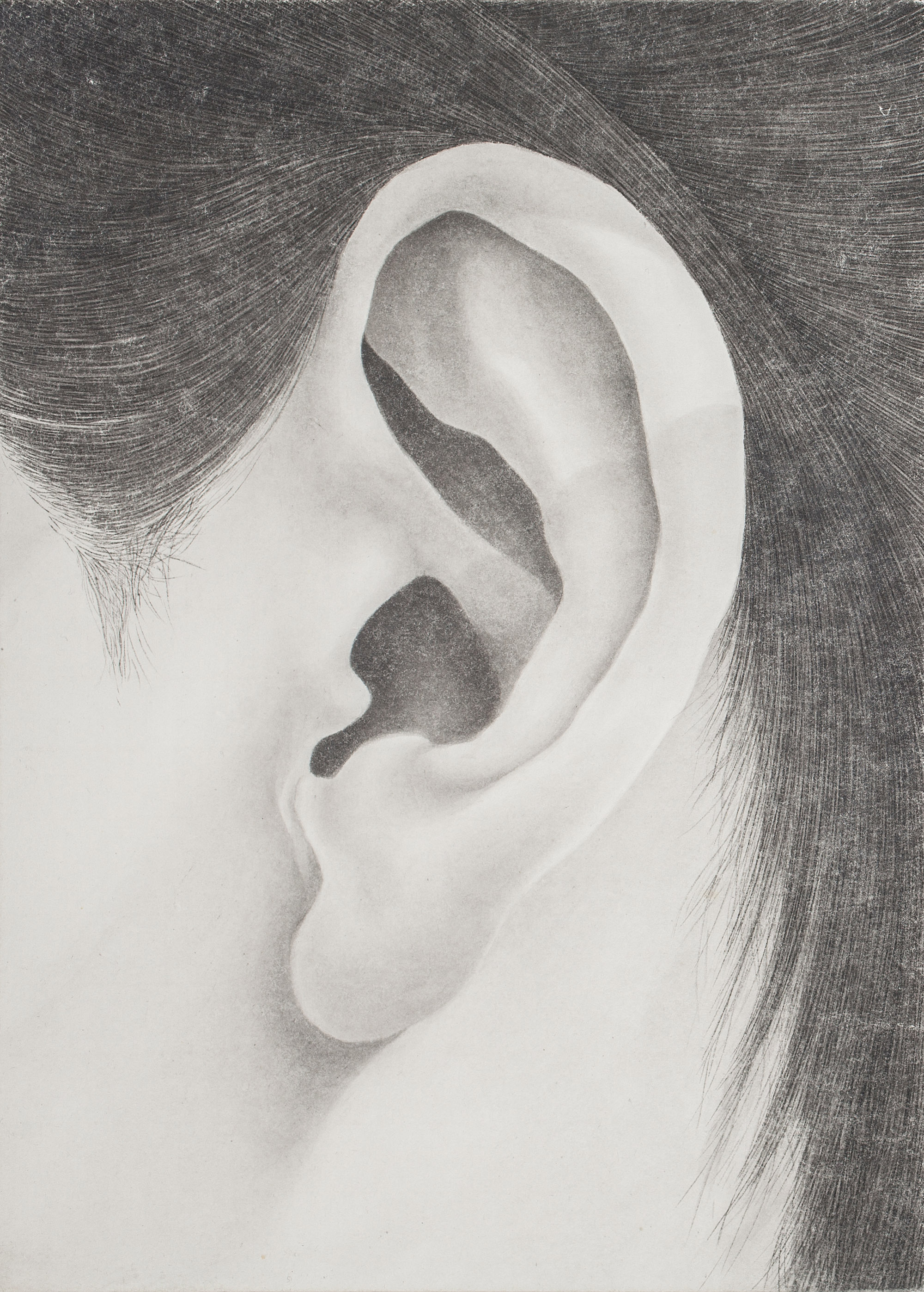 귀, 2017, 장지에 먹과 과슈, 33.4×24.2cm.