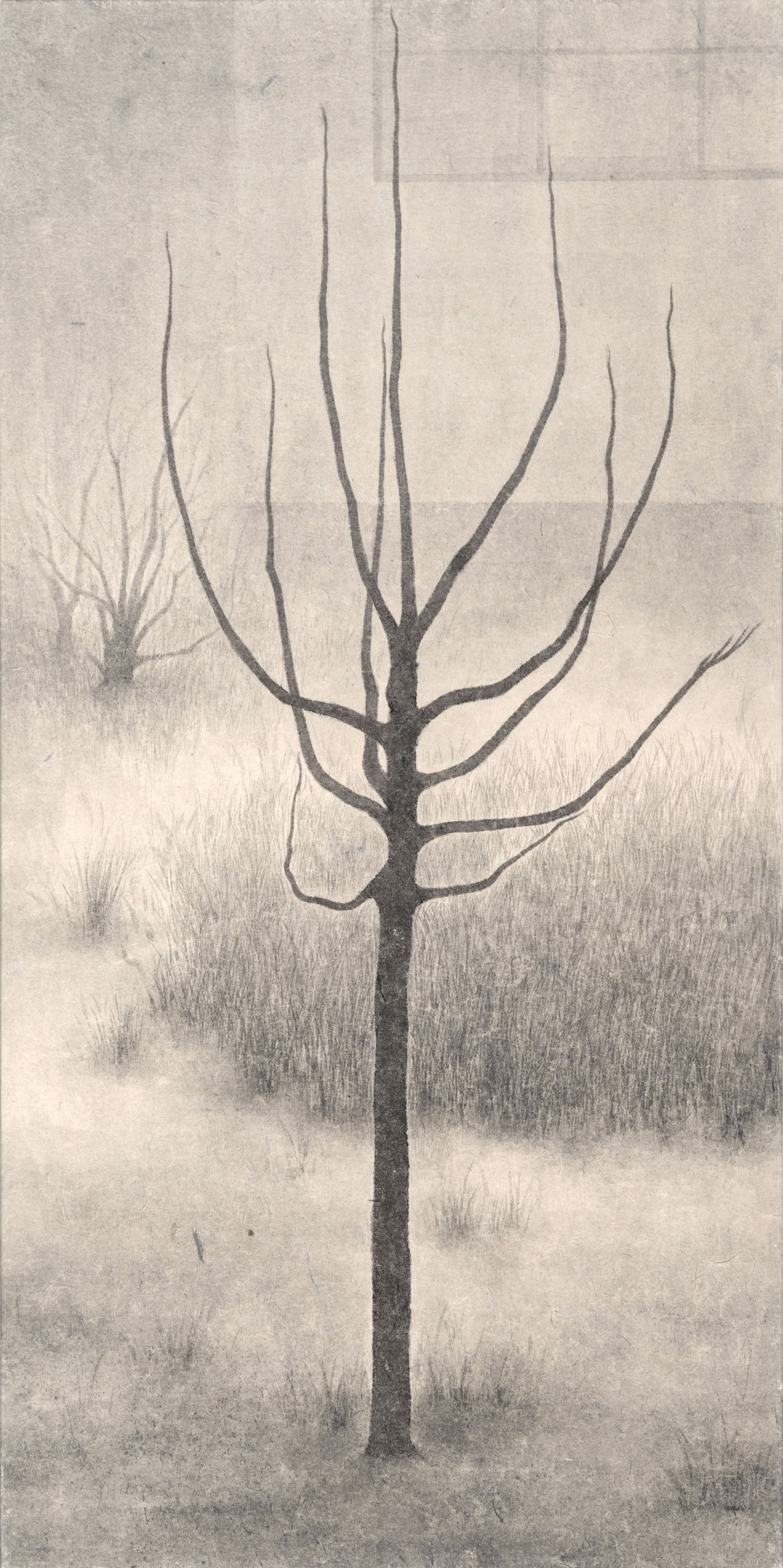 어쩐지, 무서운, 나무,, 2018, 장지에 먹, 60×32.5cm.